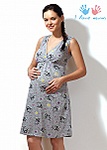 click for enlarge 215 X 301 25.2 Kb picture