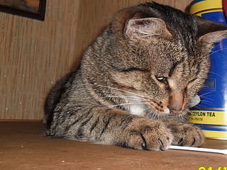 click for enlarge 1920 X 1440 838.8 Kb picture