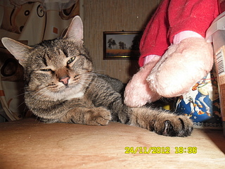 click for enlarge 1920 X 1440 308.4 Kb picture