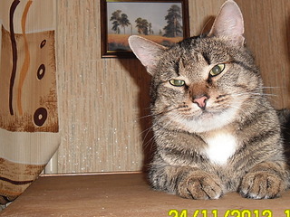 click for enlarge 1920 X 1440 806.3 Kb picture