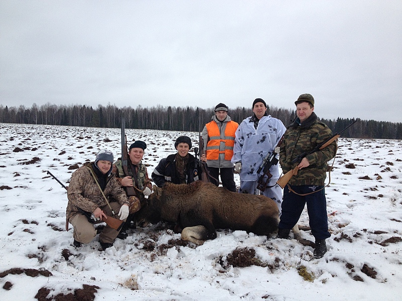 click for enlarge 1920 X 1440 241.8 Kb picture