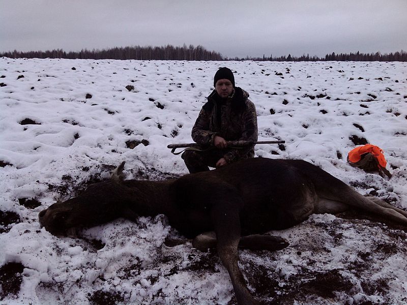 click for enlarge 1920 X 1440 373.0 Kb picture