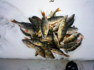 click for enlarge 1920 X 1434 552.3 Kb picture