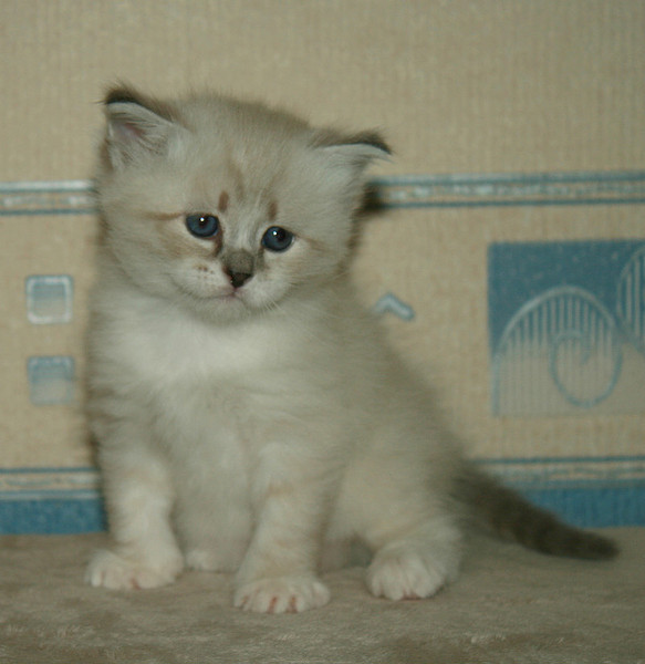 click for enlarge 800 X 823 104.1 Kb picture