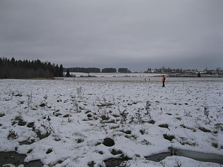 click for enlarge 1920 X 1440 551.6 Kb picture