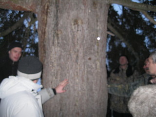 click for enlarge 1920 X 1440 466.5 Kb picture