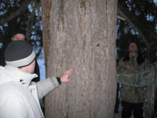 click for enlarge 1920 X 1440 438.7 Kb picture