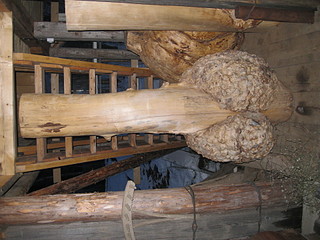 click for enlarge 1920 X 1440 659.2 Kb picture