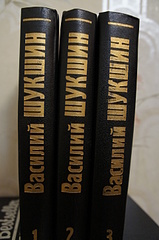 click for enlarge 1920 X 2889 366.3 Kb picture