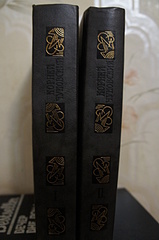 click for enlarge 1920 X 2889 223.2 Kb picture