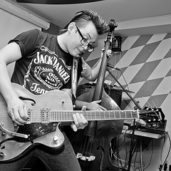 click for enlarge 1500 X 1500 276.2 Kb picture