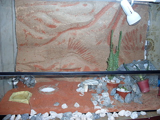 click for enlarge 1024 X 768 443.1 Kb picture