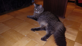 click for enlarge 1920 X 1080 1003.3 Kb picture