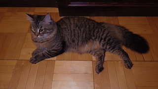 click for enlarge 1920 X 1080 979.7 Kb picture