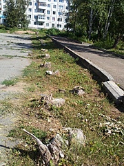 click for enlarge 768 X 1024 453.5 Kb picture