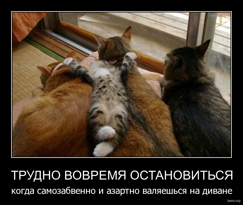 780 х 661