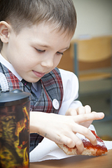 click for enlarge 1920 X 2880 300.1 Kb picture