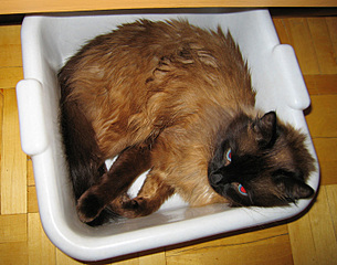 click for enlarge 700 X 550 160.9 Kb picture