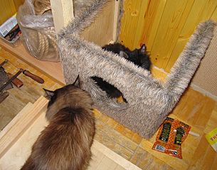 click for enlarge 700 X 550 215.5 Kb picture