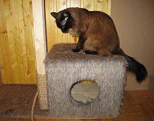 click for enlarge 700 X 550 180.3 Kb picture