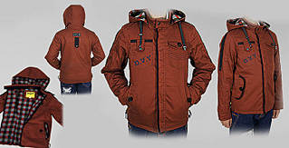 click for enlarge 700 X 358 44.1 Kb picture