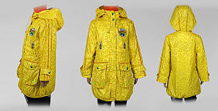 click for enlarge 700 X 358 46.5 Kb picture