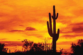 click for enlarge 700 X 461 86.9 Kb picture