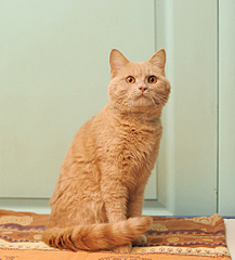 click for enlarge 1920 X 2113 217.9 Kb picture