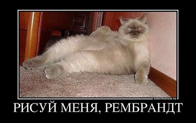 click for enlarge 760 X 477 78.1 Kb picture
