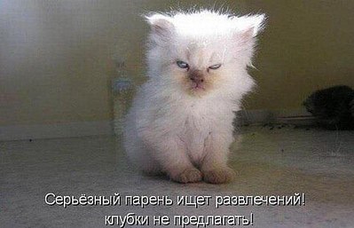 click for enlarge 554 X 357 28.5 Kb picture