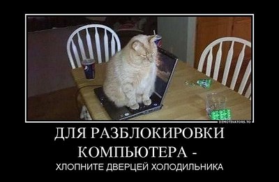 click for enlarge 760 X 496 58.3 Kb picture