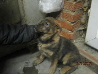 click for enlarge 640 X 480  45.6 Kb picture
