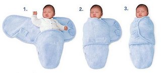 click for enlarge 550 X 250  14.4 Kb picture