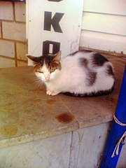 click for enlarge 768 X 1024 127.6 Kb picture