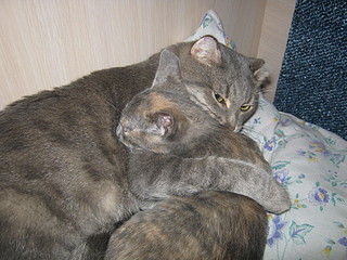 click for enlarge 1920 X 1440 926.7 Kb picture