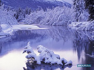 click for enlarge 680 X 510  84.9 Kb picture
