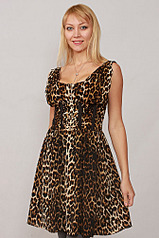 click for enlarge 669 X 1004 162.1 Kb picture