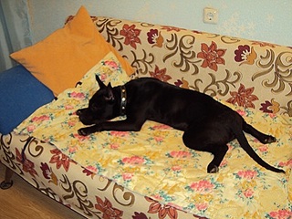 click for enlarge 400 X 300  75.4 Kb picture