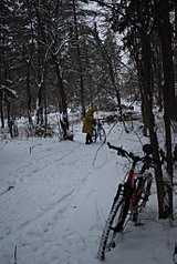 click for enlarge 685 X 1024 176.6 Kb picture