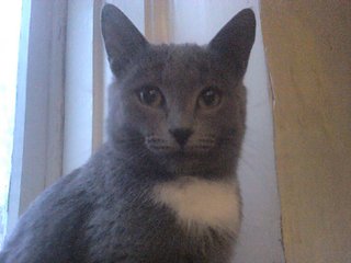 click for enlarge 1920 X 1440 318.5 Kb picture