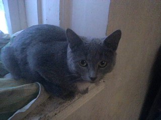 click for enlarge 1920 X 1440 371.9 Kb picture