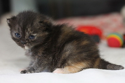 click for enlarge 800 X 533 105.8 Kb picture