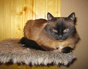 click for enlarge 700 X 550 197.4 Kb picture