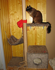 click for enlarge 550 X 700 159.0 Kb picture