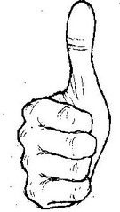 click for enlarge 188 X 333  17.5 Kb picture