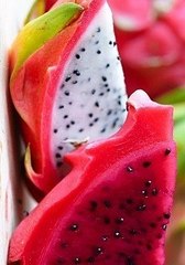 click for enlarge 280 X 400 25.3 Kb picture