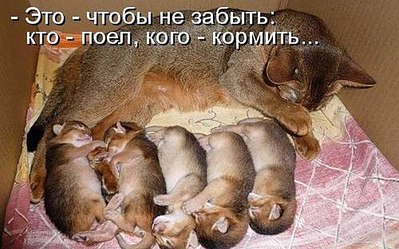 click for enlarge 693 X 432 68.7 Kb picture