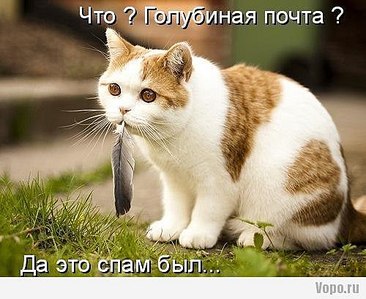 click for enlarge 500 X 409 43.4 Kb picture