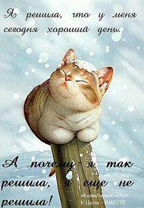 click for enlarge 334 X 480 39.1 Kb picture
