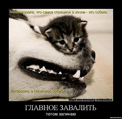 click for enlarge 480 X 468 53.5 Kb picture